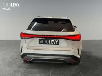 Neu Lexus RX450h Business Edition 292 PS (214 kW) 2026 Weiß SUV