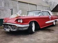Gebraucht Ford Thunderbird 300 PS (220 kW) 1959 Rot
