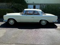 Gebraucht Mercedes 250 SE 150 PS (110 kW) 1965 Weiß Coupé