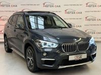 gebraucht BMW X1 xDrive 20d xLine Navi/LED/PANO/Key/PDC/SHZ/18