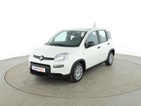 Neu Fiat Panda Cross Cross 71 PS (52 kW) 2025 Weiß Kleinwagen