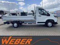 Neu Maxus V90 148 PS (108 kW) 2025 Weiß Van