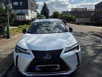 Gebraucht Lexus UX 250h 184 PS (135 kW) 2020 Weiß SUV