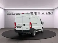 Neu Opel Movano 140 PS (102 kW) 2025 Weiss Van