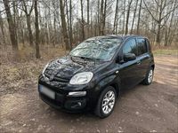 Occasion Fiat Panda 69 ch (50 kW) 2008 Noir Citadine