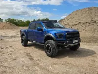 Gebraucht Ford F-150 457 PS (336 kW) 2017 Blau Pickup