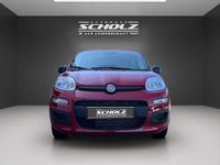 Neu Fiat Panda 69 PS (50 kW) 2025 Rot Kleinwagen