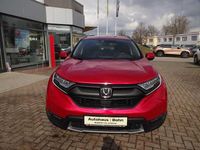 Gebraucht Honda CR-V 173 PS (127 kW) 2020 Rot SUV