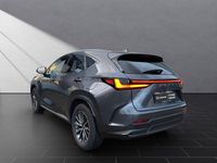 Gebraucht Lexus NX450h+ E-FOUR 309 PS (227 kW) 2023 Sonic grey SUV