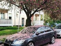 Gebraucht Skoda Octavia RS 200 PS (147 kW) 2011 Grau Limousine