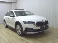 Gebraucht Skoda Octavia 200 PS (147 kW) 2022 Weiss Kombi
