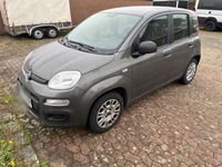 gebraucht Fiat Panda 1.2 8V LPG -