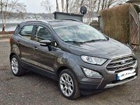Gebraucht Ford Ecosport Titanium 125 PS (91 kW) 2020 Grau SUV