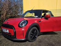 Gebraucht Mini Cooper Cabriolet 136 PS (100 kW) 2022 Rot Cabrio