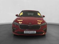 Gebraucht Skoda Scala Selection 116 PS (85 kW) 2024 Velvetrot metallic Kleinwagen