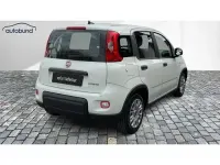 Gebraucht Fiat Panda 71 PS (52 kW) 2024 Kleinwagen