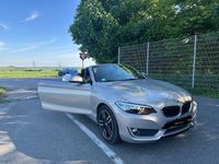 Usata BMW 220 Performance 184 CV (135 kW) 2016 Argento Cabrio