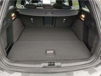 Gebraucht Ford Focus ST-Line X 125 PS (91 kW) 2024 Magneticgrau (metallic) Kombi