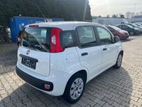 gebraucht Fiat Panda New1.2 8V LOUNGE