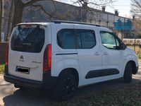 Gebraucht Citroën e-Berlingo Shine 100 kW (136 PS) 2023 Weiß Van / Kleinbus