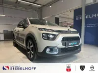 Gebraucht Citroën C3 PureTech 110 PS (80 kW) 2023 Beige Kleinwagen