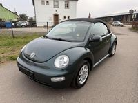 Gebraucht VW New Beetle Cabriolet 75 PS (55 kW) 2003 Grün Cabrio