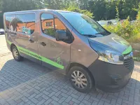 Gebraucht Opel Vivaro 140 PS (102 kW) 2015 Grau Van / Kleinbus