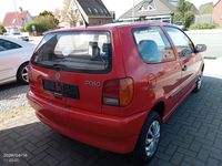 Usata VW Polo 54 CV (39 kW) 1994 Rosso Utilitaria