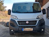 Gebraucht Fiat Ducato 131 PS (96 kW) 2019 Weiß Van