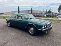 Gebraucht Jaguar XJ12 Sovereign 306 PS (225 kW) 1984 Grün Limousine