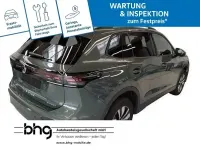 Gebraucht VW Tiguan Life 204 PS (150 kW) 2025 Grün SUV