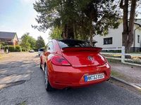 Gebraucht VW Beetle Exclusive 220 PS (161 kW) 2015 Kleinwagen