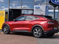 Gebraucht Ford Mustang 258 PS (189 kW) 2020 Lucidrot Limousine