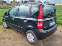 gebraucht Fiat Panda 