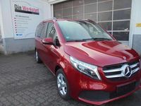 Gebraucht Mercedes E250 Avantgarde Edition 190 PS (139 kW) 2022 Hyazinthrot Kombi