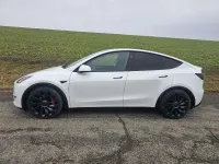 Occasion Tesla Model Y Performance 392 kW (534 ch) 2024 Blanc SUV