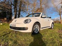Gebraucht VW Beetle Cabriolet 105 PS (77 kW) 2016 Weiß Cabrio