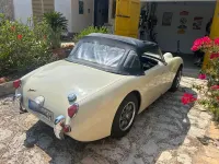 Gebraucht Austin Healey Sprite 65 PS (47 kW) 1959 Grün Cabrio