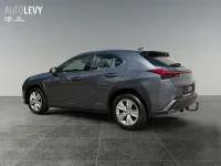 Gebraucht Lexus UX 250h Business Edition 184 PS (135 kW) 2021 Grau SUV