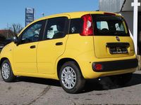 Neu Fiat Panda Icon 65 PS (47 kW) 2026 Positano gelb Kleinwagen