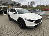 Gebraucht Mazda CX-30 Selection 150 PS (110 kW) 2021 Snowflake white pearl SUV