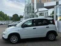 Gebraucht Fiat Panda 69 PS (50 kW) 2022 Weiß Kleinwagen