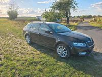 Gebraucht Skoda Octavia 150 PS (110 kW) 2017 Kombi