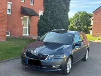 Gebraucht Skoda Octavia Style 150 PS (110 kW) 2019 Grau Kombi