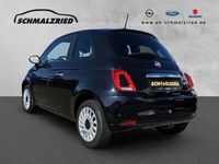 Gebraucht Fiat 500 Basis 69 PS (50 kW) 2023 Schwarz Kleinwagen