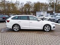 Gebraucht Skoda Octavia Style 150 PS (110 kW) 2023 Weiß Kombi