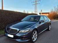 Gebraucht Mercedes E400 Elegance 333 PS (244 kW) 2014 Grau Limousine