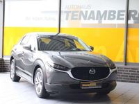 Gebraucht Mazda CX-3 Selection 150 PS (110 kW) 2021 Machine grey SUV