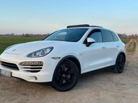 Gebraucht Porsche Cayenne 245 PS (180 kW) 2012 Weiß SUV