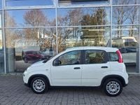Gebraucht Fiat Panda 69 PS (50 kW) 2023 Bianco gelato Kleinwagen